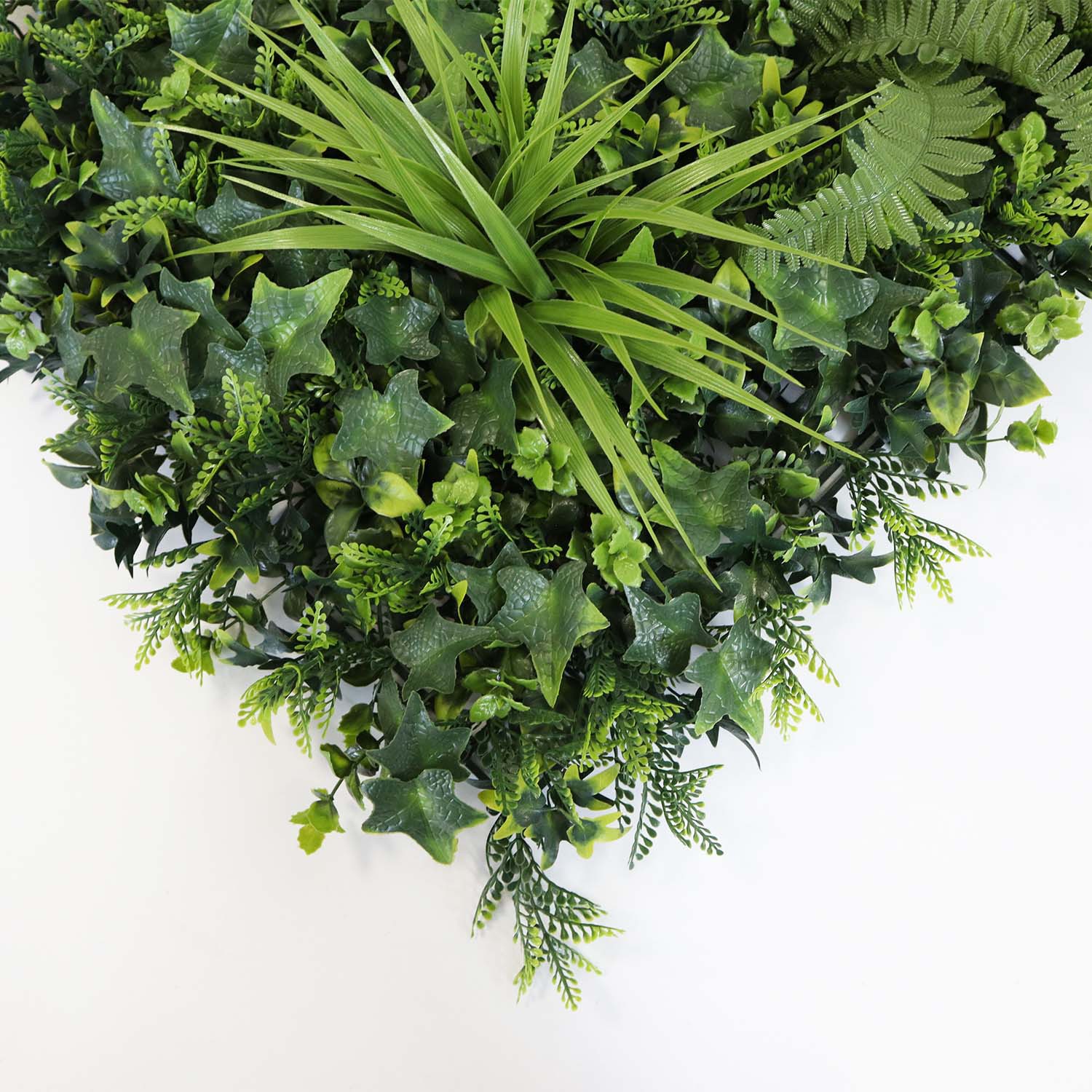 interior green wall interior green wall