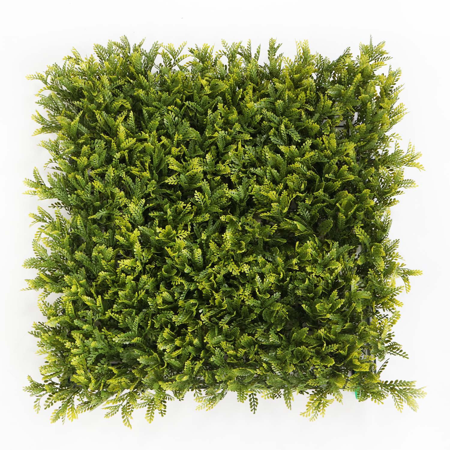 grass wall for bedroom grass wall for bedroom