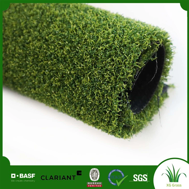 Putting Green Turf Mini Golf Court Field Artificial Grass