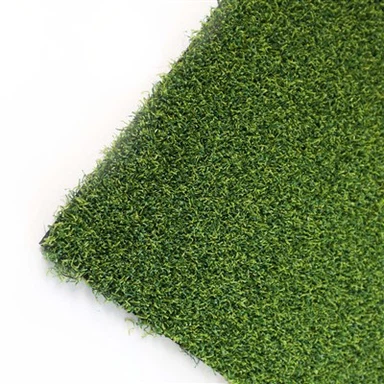 Artificial Lawn Of Family Garden Golf Course