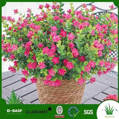 Artificial Trailing Plants