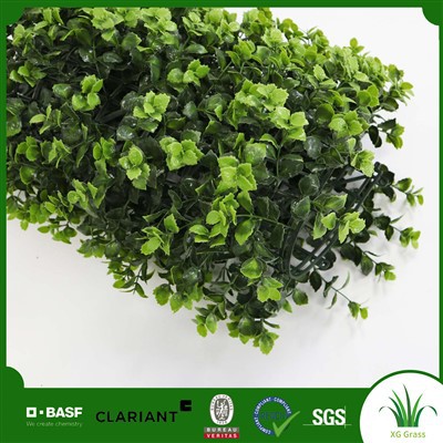 Decorative Green Wall