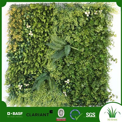 Diy Indoor Plant Wall