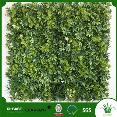 Diy Plant Wall Indoor