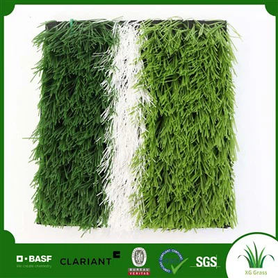 Football Turf Grass