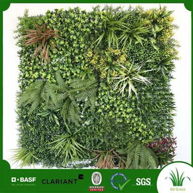Indoor Hanging Plant Wall