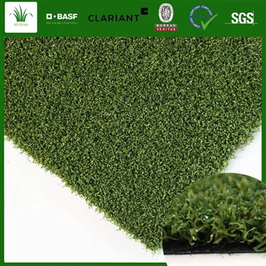 Indoor Practice Putting Green