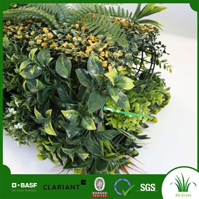 Living Herb Wall Indoor