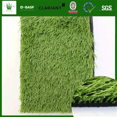 Soccer Carpet Grass
