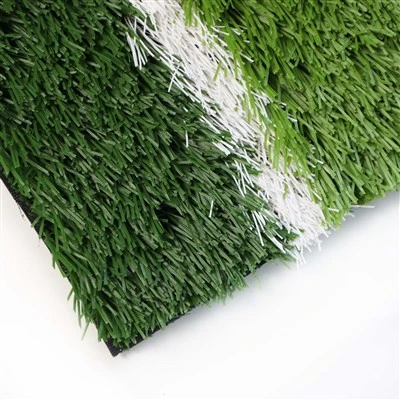 Turf Grass Soccer