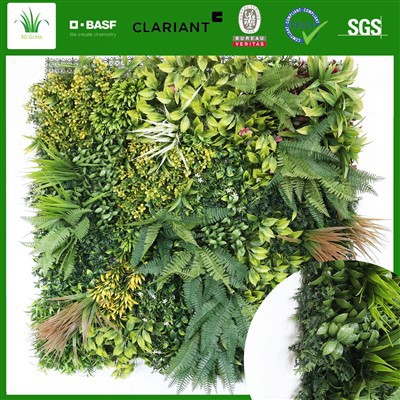 Urban Green Wall
