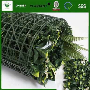 Vertical Garden Money Plant
