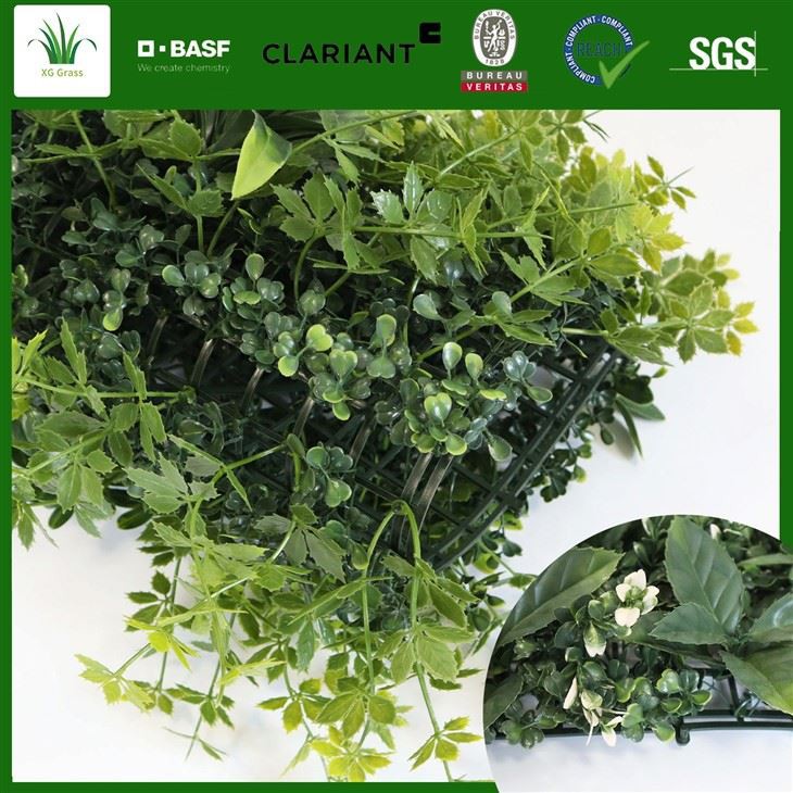Sustainable Green Wall