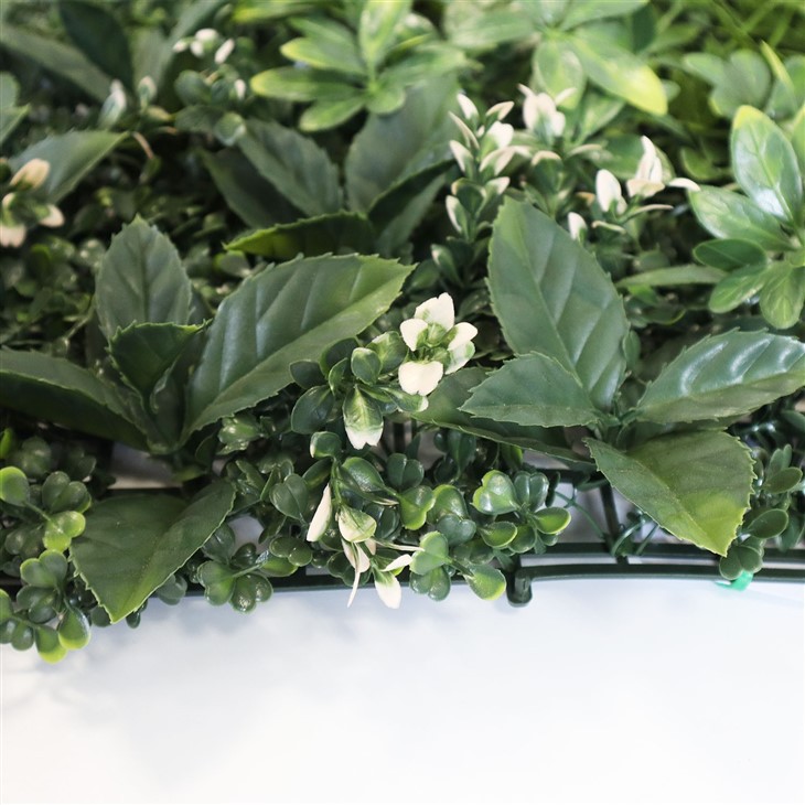 Sustainable Green Wall